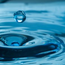 What is True Religion According to Bhagavad Gita? What is True Religion According to Bhagavad Gita?