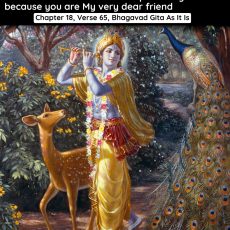 Essence Of Bhagavad Gita Essence Of Bhagavad Gita