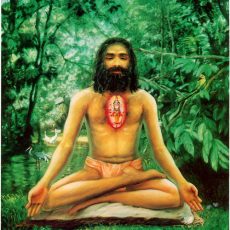 What is Meditation? What is Meditation?