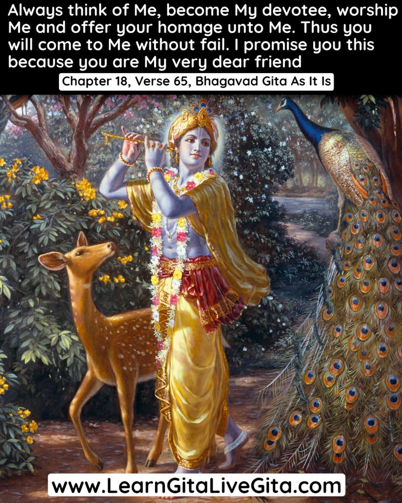 Bhagavad Gita Saar