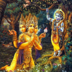 LORD KRISHNA'S Divine Advent & Its Principles