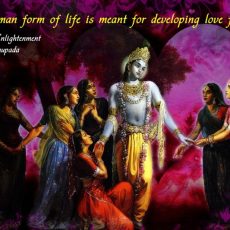 Bhagavad Gita on Detachment and Professional Success