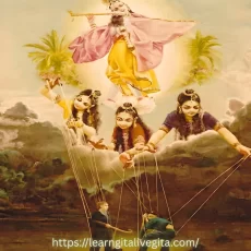 भगवद्गीता किसे प्रोत्साहित करती है – स्वेच्छा या भाग्य? भगवद्गीता किसे प्रोत्साहित करती है – स्वेच्छा या भाग्य?